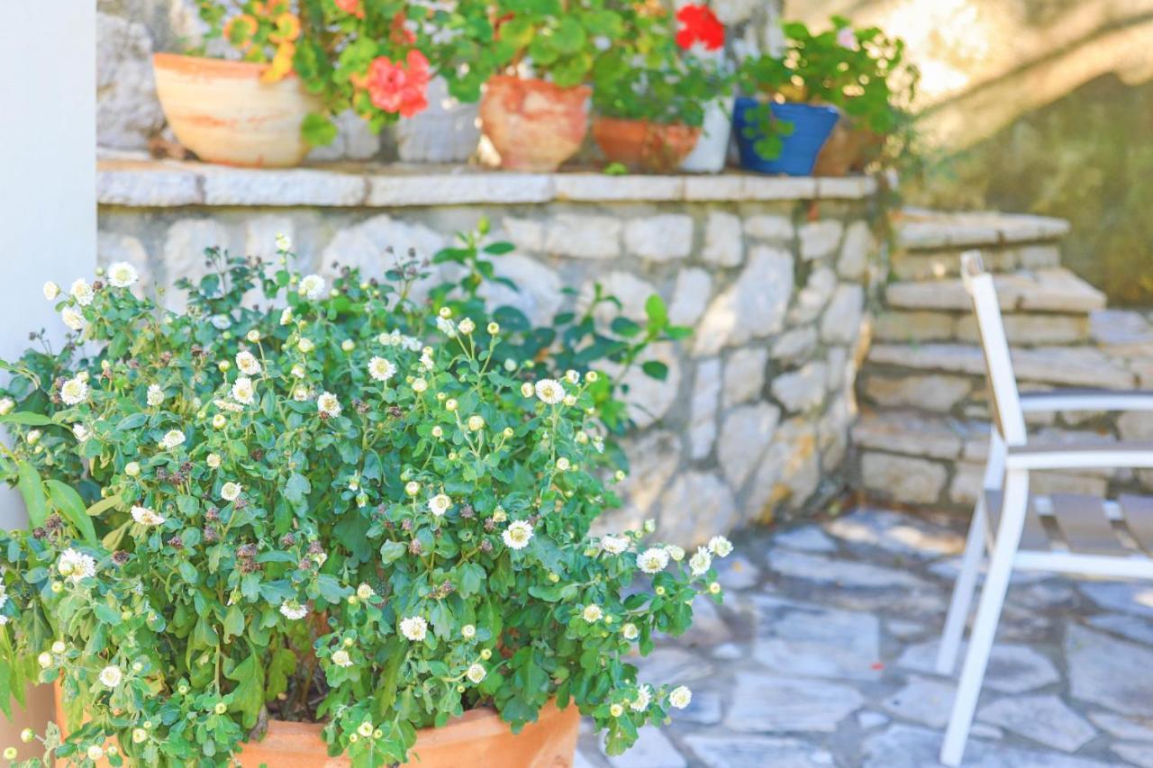 Villa Natasha Κατάβολος Εξωτερικό φωτογραφία